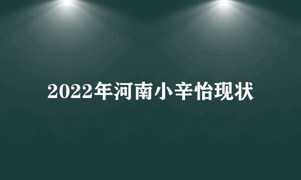 2022年河南小辛怡现状