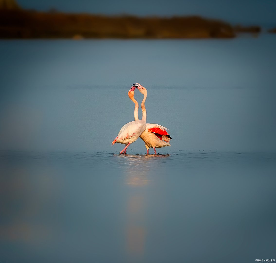 女人允许你坐她的床时，意味着什么？