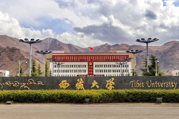 211录取最低分排名