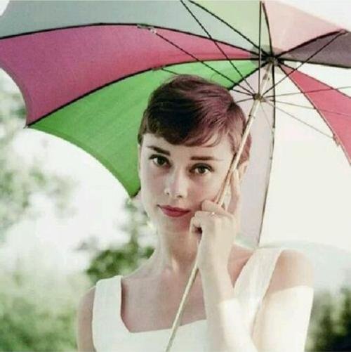 奥黛丽赫本英文简介