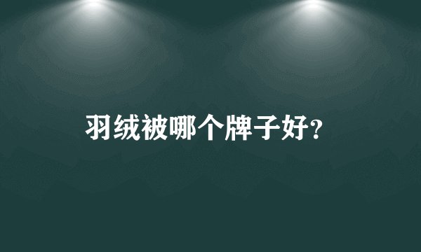 羽绒被哪个牌子好？