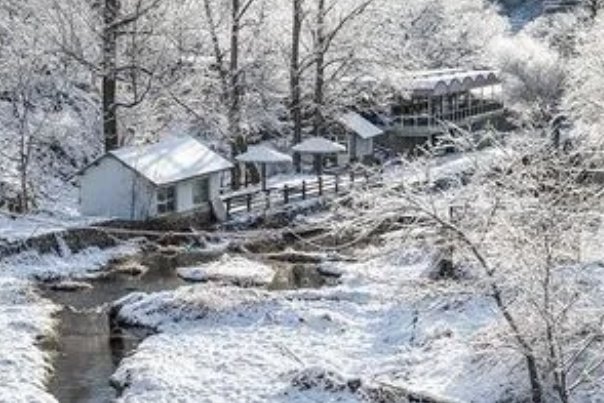 那句古诗描写冬季的美景