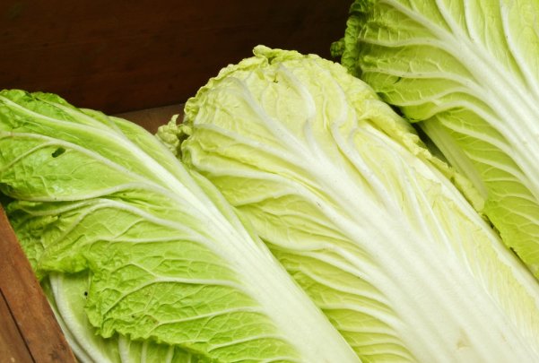 7月6日蚂蚁庄园答案是什么?