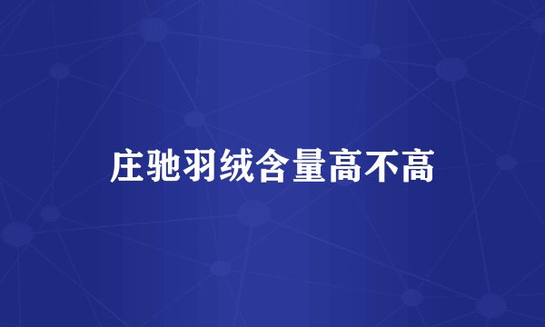 庄驰羽绒含量高不高