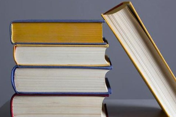 门前开着一大片五颜六色的鲜花仿写句子