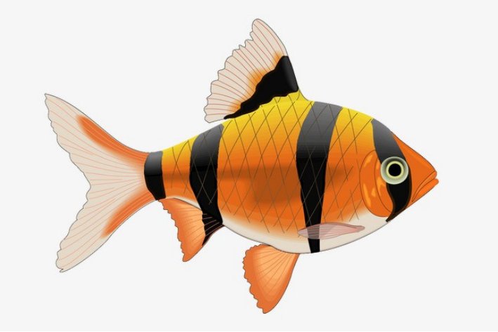 一年级上册的组词大全