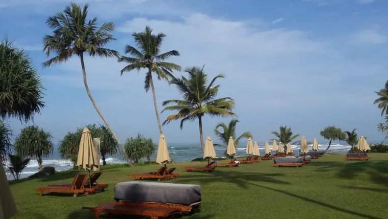 斯里兰卡首都居民被迫烧柴做饭，当地到底发生了什么？