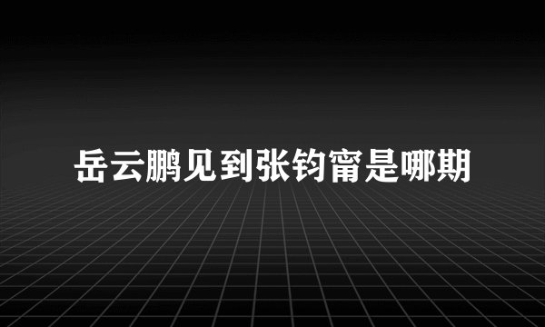 岳云鹏见到张钧甯是哪期