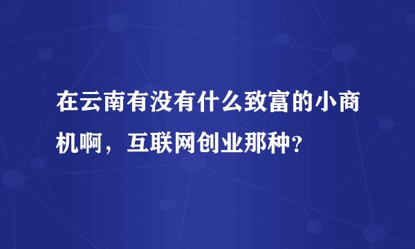 在云南有没有什么致富的小商机啊，互联网创业那种？