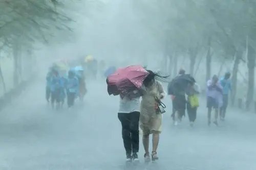 一段“两名男子暴雨中搓澡”的视频引发热议,他们俩遭到了网友怎样的调侃?
