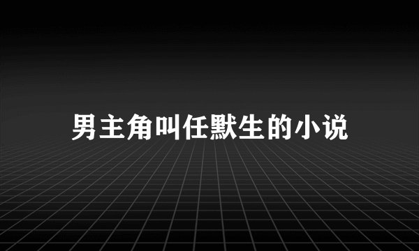 男主角叫任默生的小说