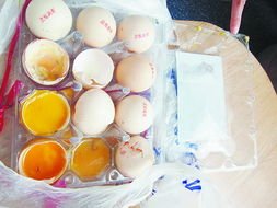 浙江一网友将活虾从菜场拎到家被“热熟”，为何三只全熟透了其他的没事？