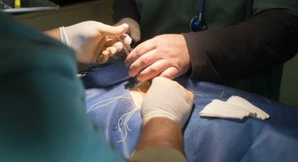 等五小时医生身亡，这样的医生应该受怎样的处罚？