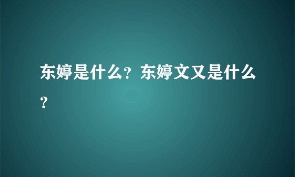 东婷是什么？东婷文又是什么？