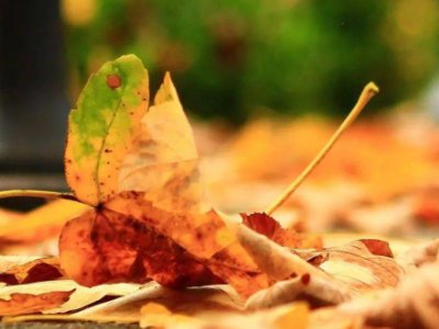 太过感性怎么改