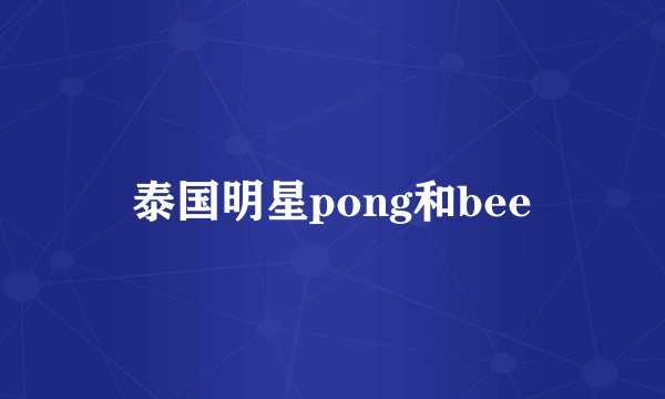 泰国明星pong和bee
