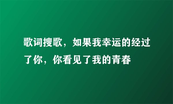 歌词搜歌，如果我幸运的经过了你，你看见了我的青春