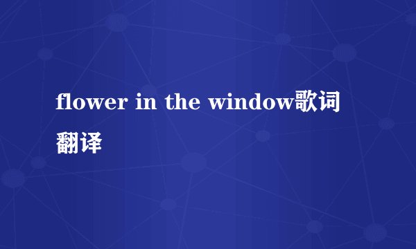 flower in the window歌词翻译
