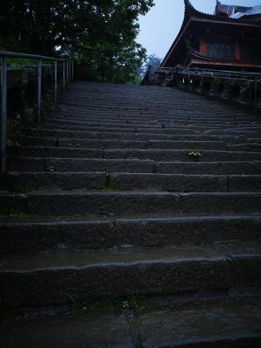 因为不同意养儿子养大的金毛，儿子拉黑我三个月，生日那天我很想念但不想主动联系他，让他体验随便就把妈