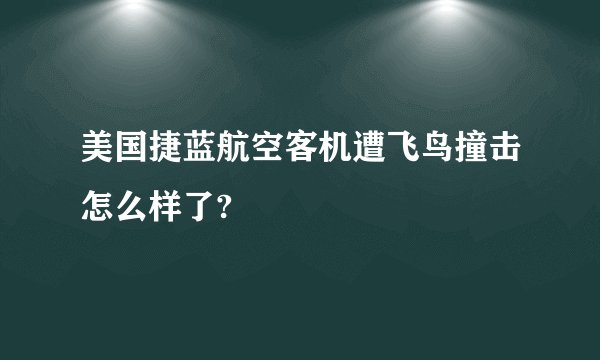 美国捷蓝航空客机遭飞鸟撞击怎么样了?
