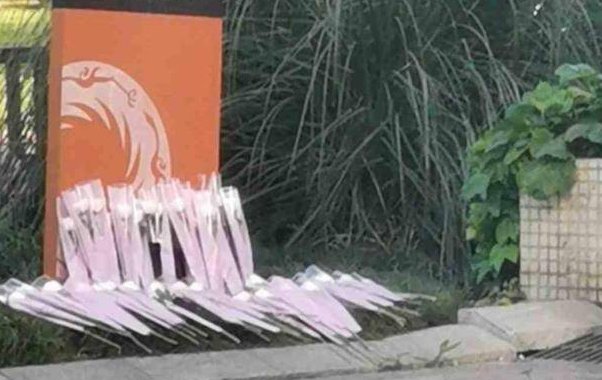 四川23岁女研究生校内从15楼坠亡，女生的死因到底是什么？