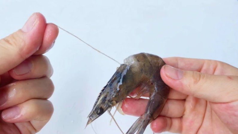 什么叫做“挑虾线”？