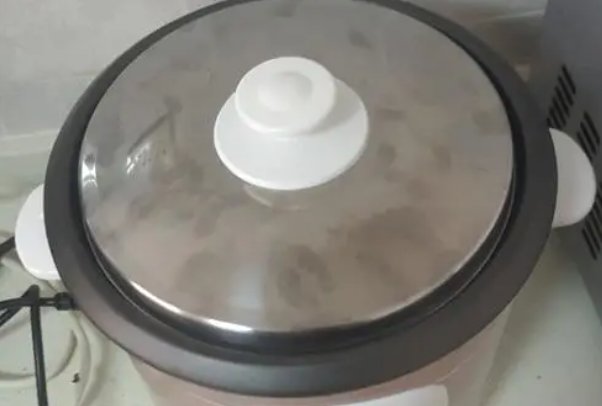 十大不建议买电饭煲的品牌