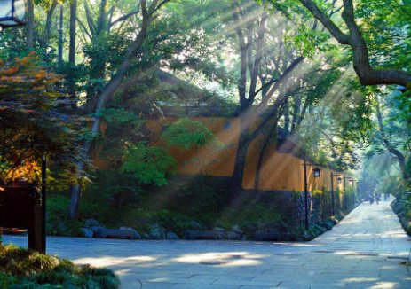 带有沐字的诗句