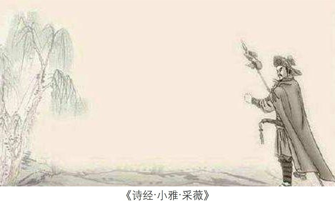 采薇的诗意是什么???