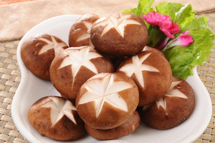 香菇起源于哪里