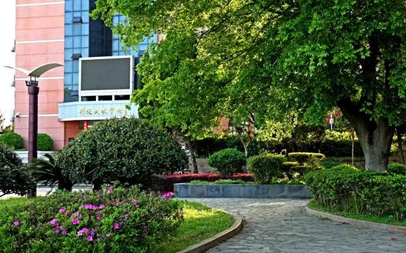 2023年安徽高考状元是谁