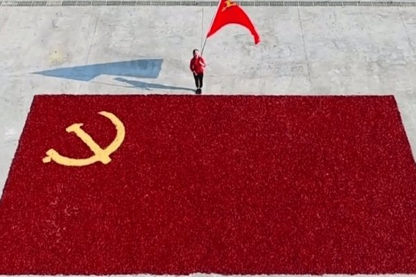 遵义95后女孩用辣椒摆出党旗，她的这一举动表达了对祖国怎样的敬爱之情？