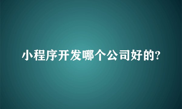 小程序开发哪个公司好的?