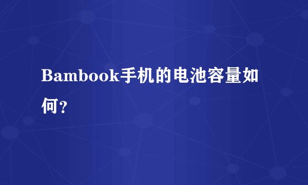 Bambook手机的电池容量如何？