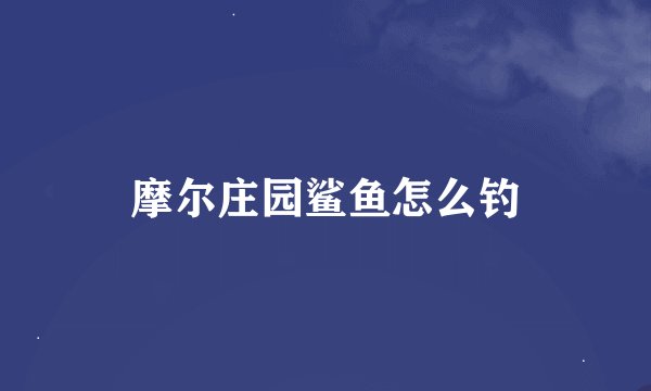 摩尔庄园鲨鱼怎么钓