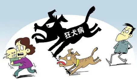 宿迁5岁女童遭遇狗毁容，狗主人系公职人员！恶犬伤人事件为何频发？