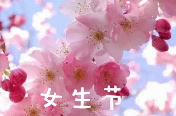 3.7号是什么节日