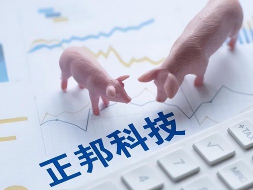 猪饲料哪个牌子好