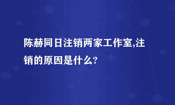 陈赫同日注销两家工作室,注销的原因是什么?