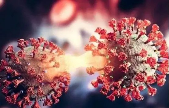 四川现国内未有过的奥密克戎变异株!此变异株有哪些变异点?