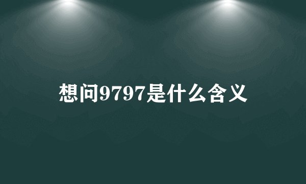 想问9797是什么含义