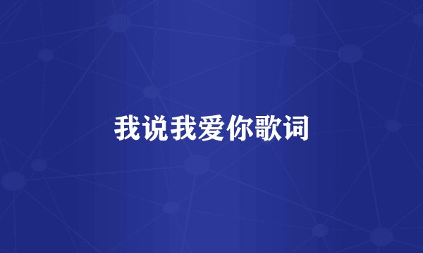 我说我爱你歌词