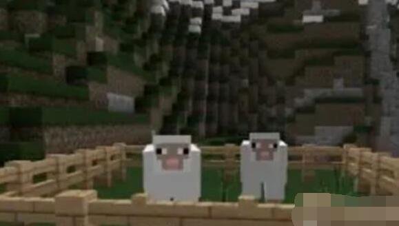 我的世界如何驯服山羊