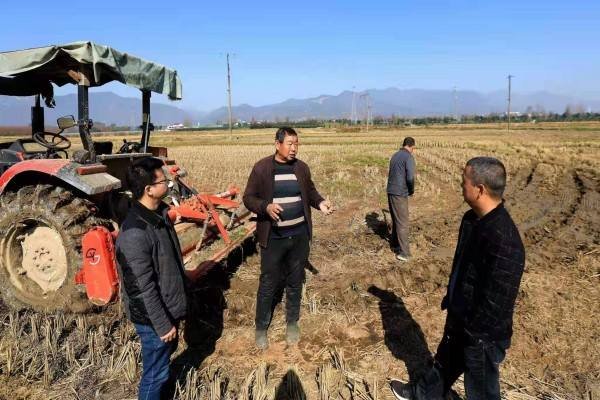 应种尽种，实现一亩地也不撂荒，土地撂荒农民要受处罚吗？