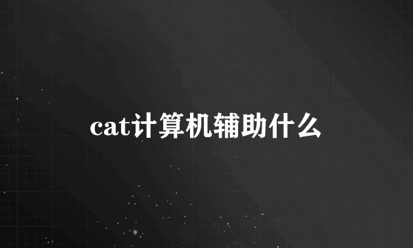 cat计算机辅助什么
