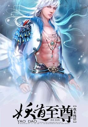 驸马至尊的小说简介