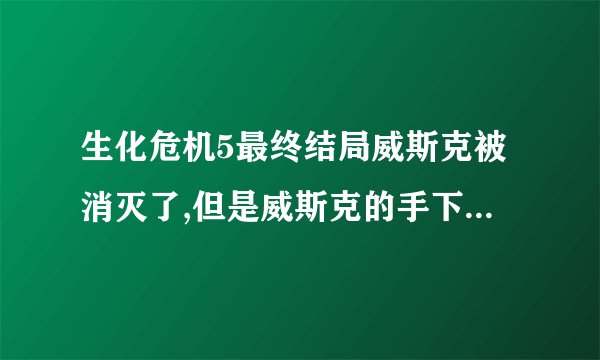 生化危机5最终结局威斯克被消灭了,但是威斯克的手下叫艾达去何处哪里?请大家知情~