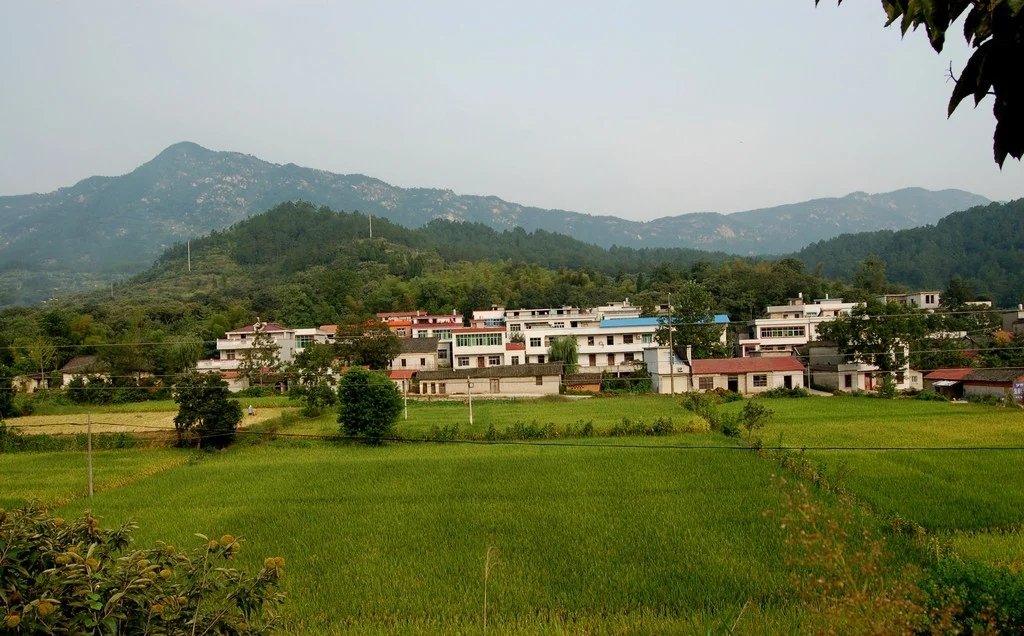 山东一村书记花百万建水上乐园,为何被网友盛赞?