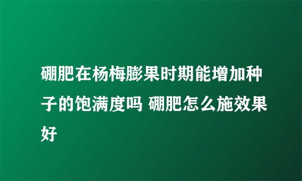 硼肥在杨梅膨果时期能增加种子的饱满度吗 硼肥怎么施效果好