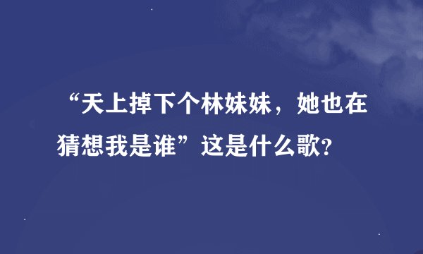 “天上掉下个林妹妹，她也在猜想我是谁”这是什么歌？